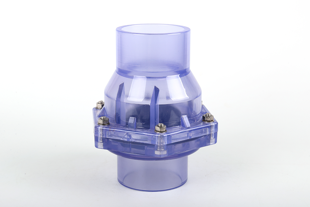 岑巩透明翻板式止回阀